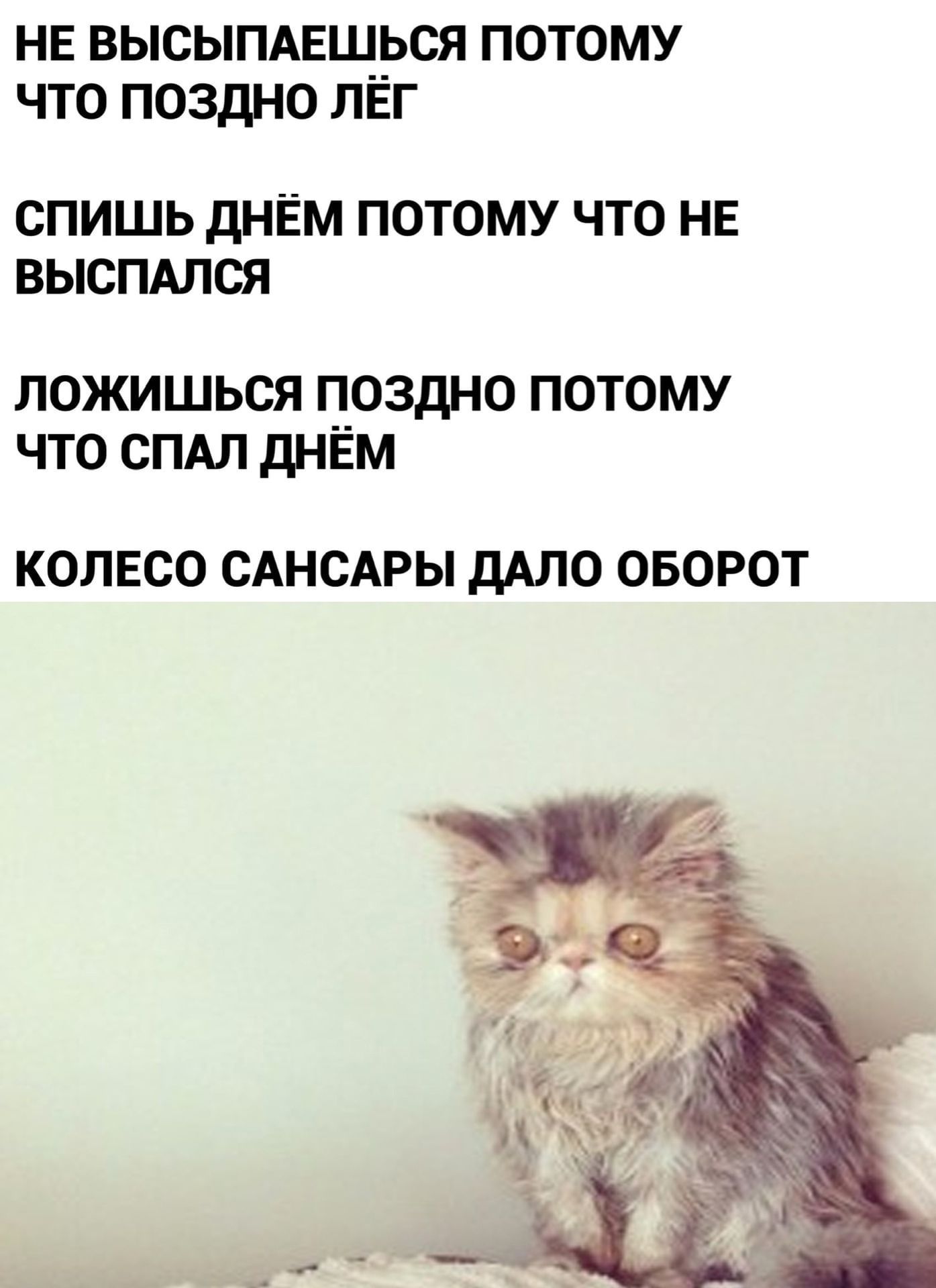 НЕ ВЫСЫПАЕШРСЯ ПОТОМУ ЧТО ПОЗДНО ЛЕГ СПИШЬ ДНЁМ ПОТОМУ ЧТО НЕ ВЫСПАЛСЯ ложишься поздно потому что спдл днЁм КОЛЕСО САНСАРЫ ДАЛО ОБОРОТ