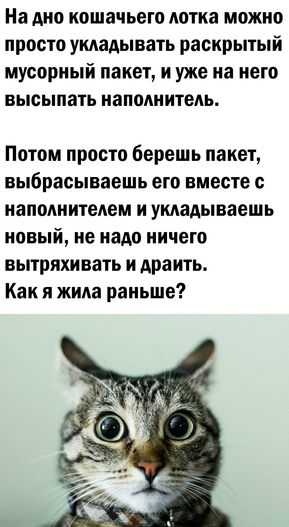 На дно кошачьего Аотка можно просто укдадывать раскрытый мусорный пакет и уже на него высыпать напоАнитеАь Потом просто берешь пакет выбрасываешь его вместе с наподнитедем и укдадываешь новый не надо ничего вытряхи вать и драить Как я жида раньше