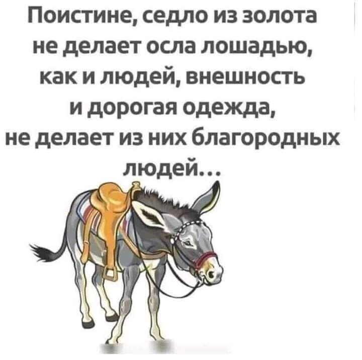 Поистине седло из золота не делает осла лошадью как и людей внешность и дорогая одежда не делает из них благородных