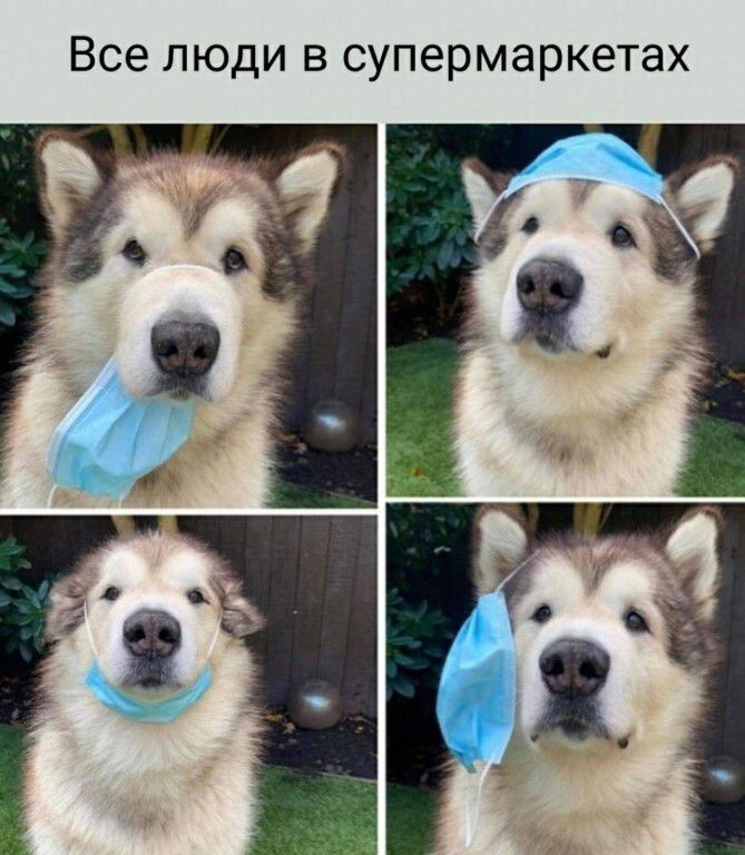 Все люди в супермаркетах
