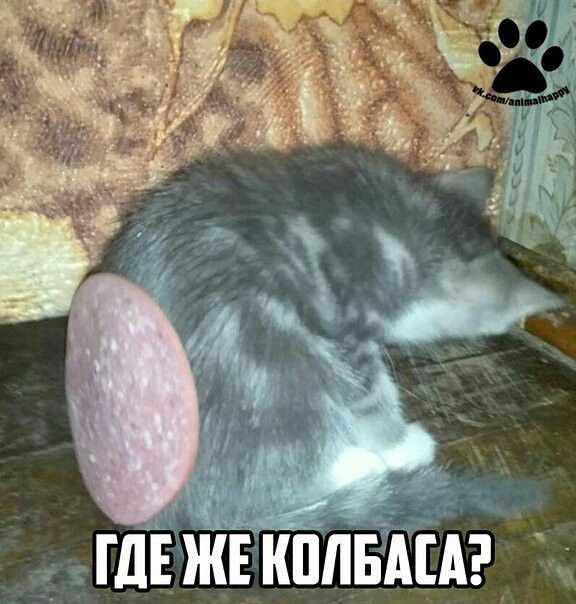 ГДЕЖЕКПЛБАЦ