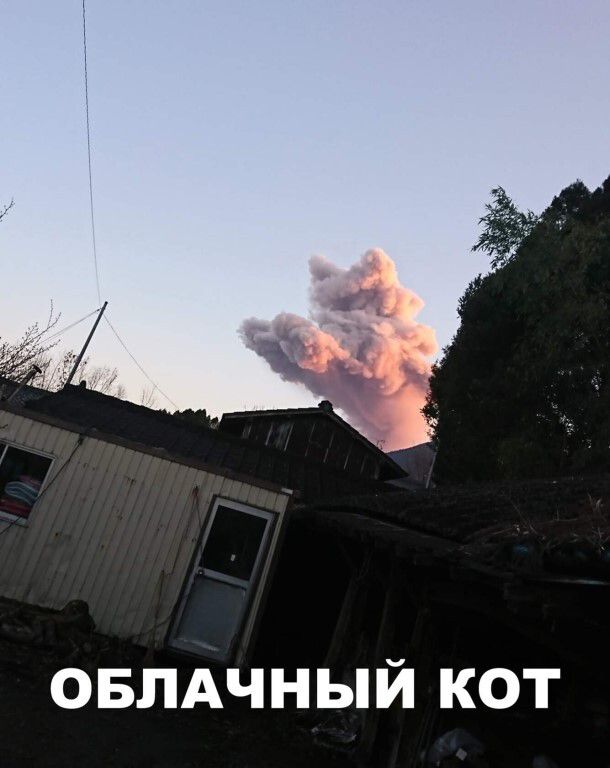овлдчный кот