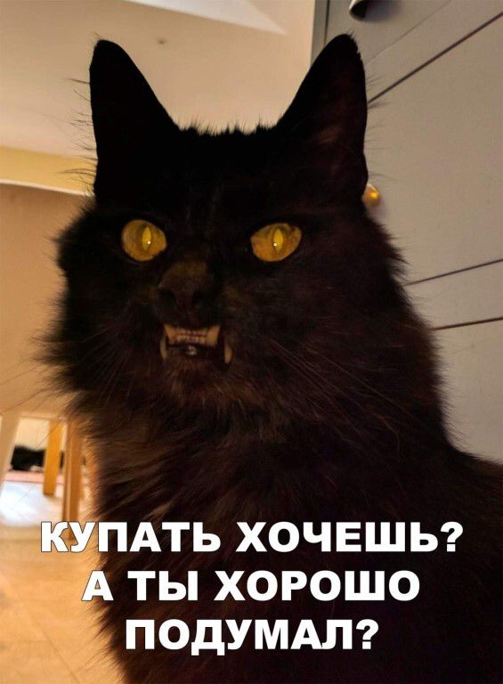 ___ ТЫ ХОРОШО ПОДУМАЛ