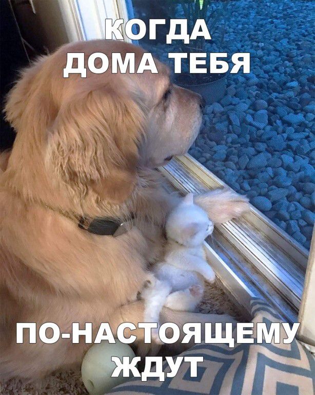 М по НАЁТД яЩЕЗ йкдут