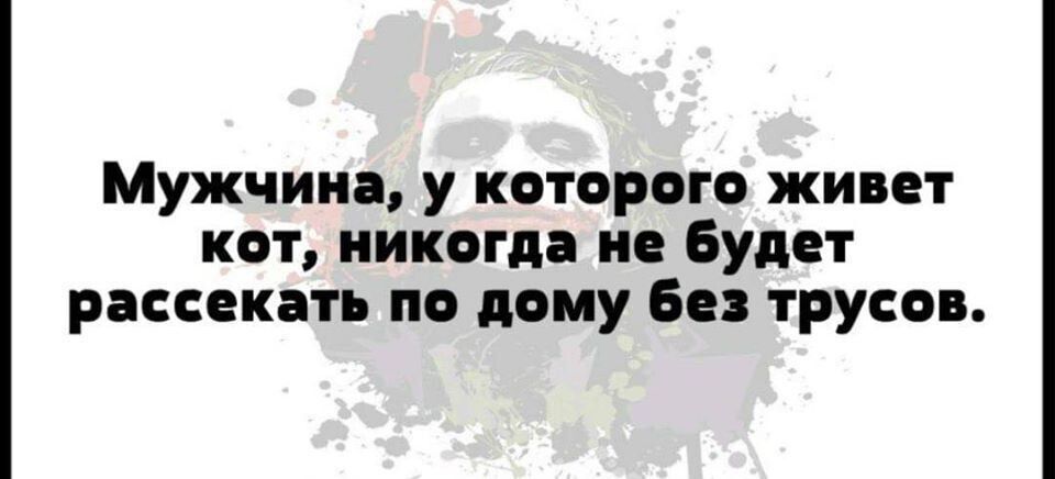 Мужчина у которого живет кот никогда не будет рассекать по дому Без трусов