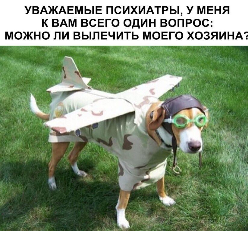 УВАЖАЕМЫЕ ПСИХИАТРЫ У МЕНЯ К ВАМ ВСЕГО ОДИН ВОПРОС МОЖНО ПИ ВЫПЕЧИТЬ МОЕГО ХОЗЯИНА