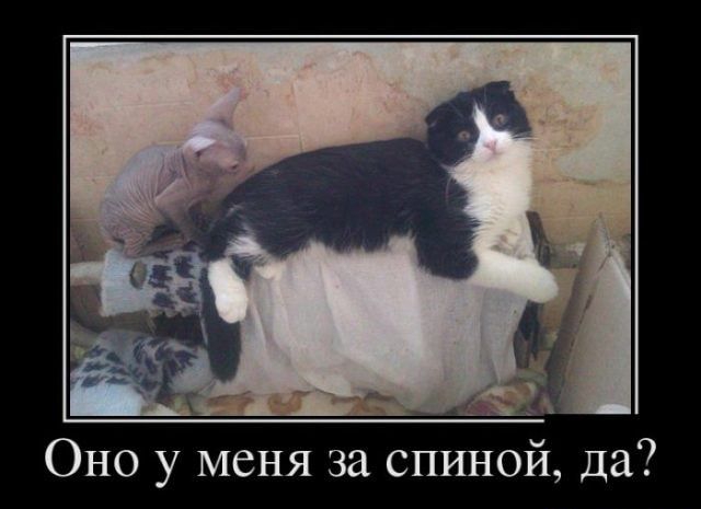 Оно у меня за спиной да