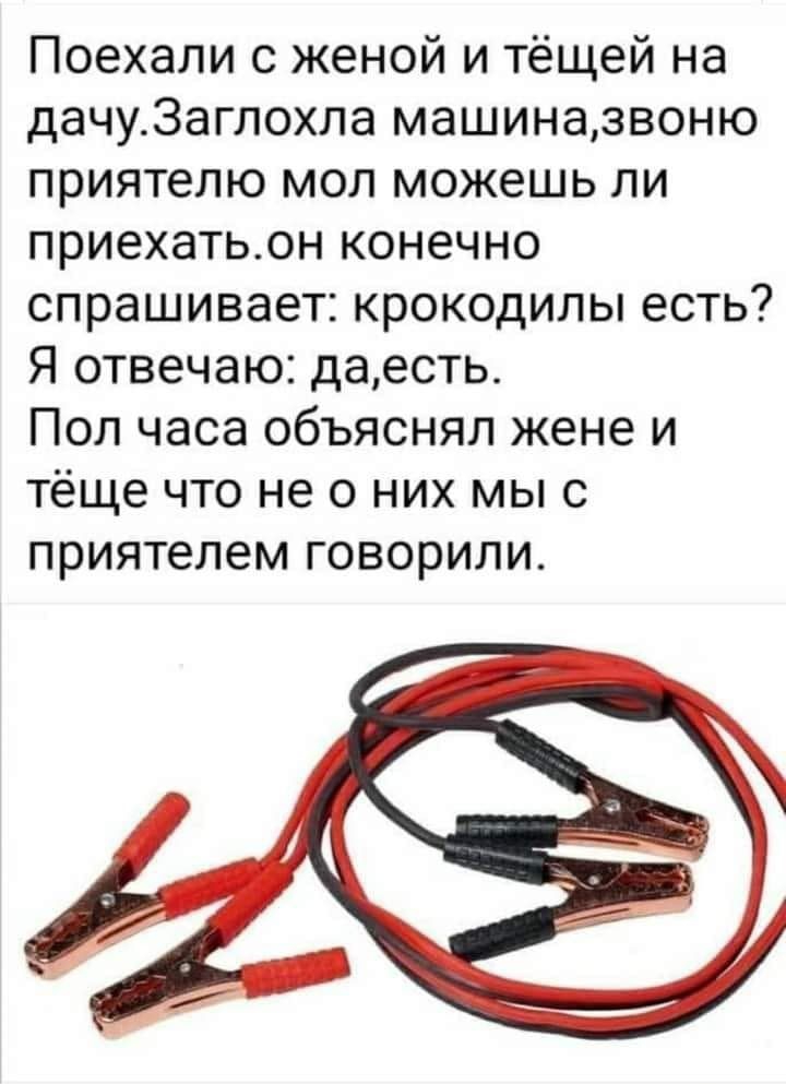 Поехали с женой и тёщей на дачу3аглохла машиназвоню приятелю мол можешь ли приехатьон конечно спрашивает крокодилы есть Я отвечаю даесть Пол часа объяснял жене и тёще что не о них мы с приятелем ГОВОРИЛИ
