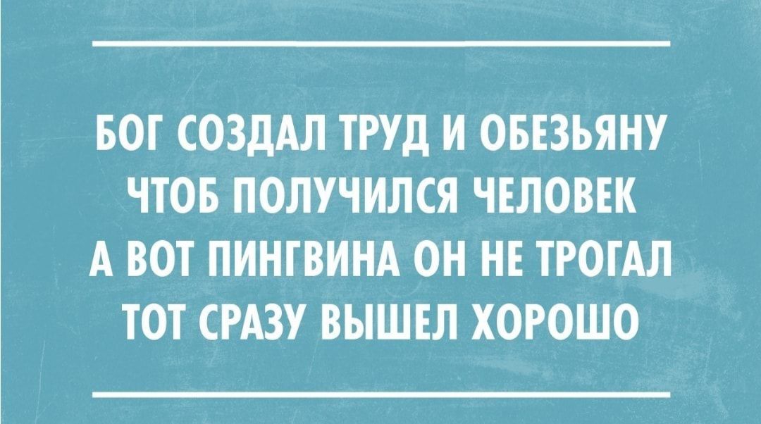 БОТ СОЗДАЛ ТРУД И ОБЕЗЬЯНУ ЧТОБ ПОЛУЧИЛСЯ ЧЕЛОВЕК А ВОТ ПИНТВИНА ОН НЕ ТРОТАЛ ТОТ СРАЗУ ВЫШЕЛ ХОРОШО