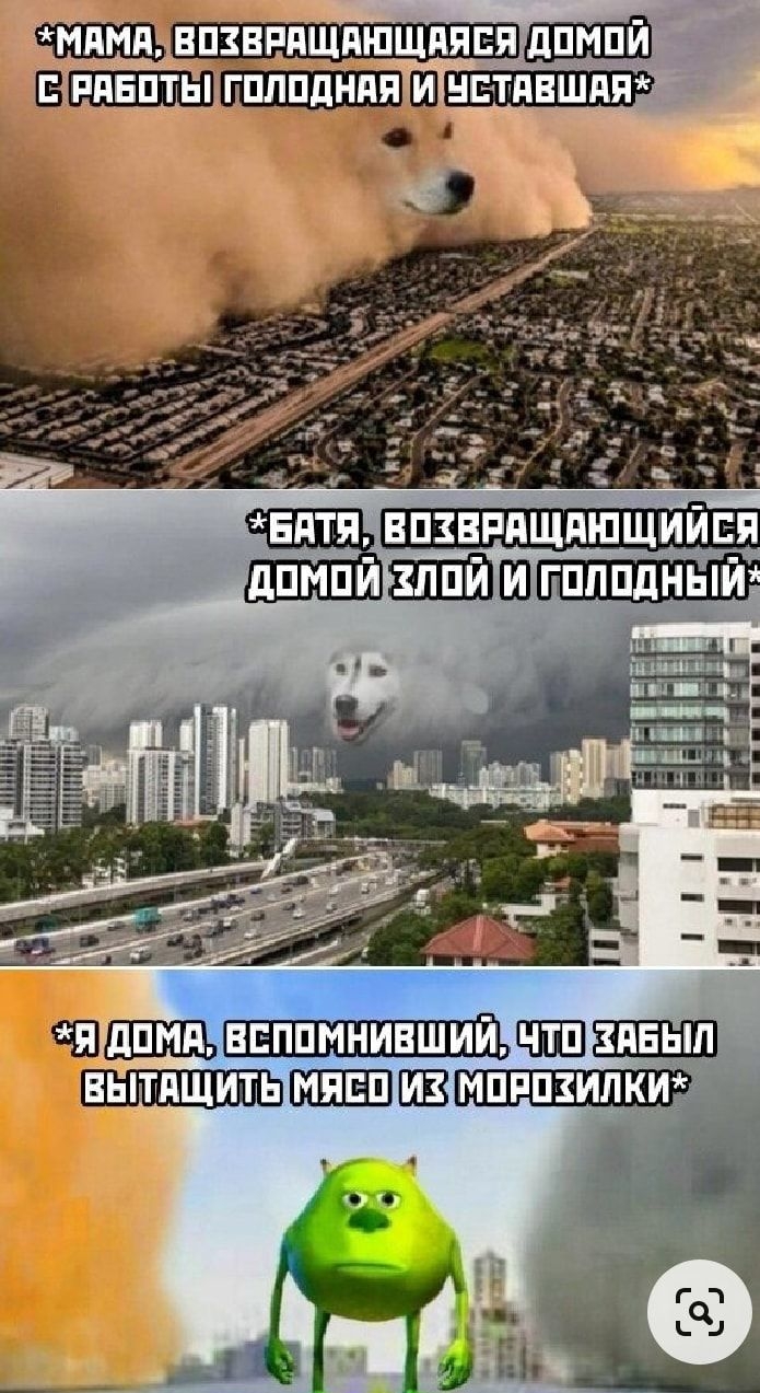 _4 ШГ7Щ ШВШШШШШПЕШ ШШВ оо _ 513 _ 1 зимы