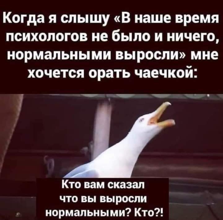 Когда я слышу В наше время психологов не было и ничего нормальными выросли мне хочется орать чаечкой ___ Кто вам сказал что вы выросли нормальными Кто
