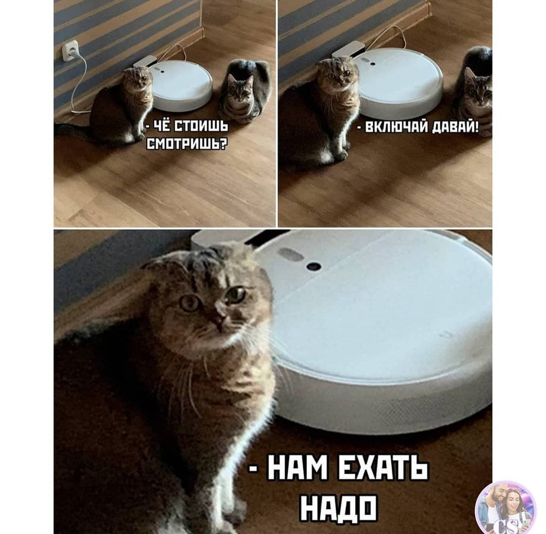 г Ё чёстпишь смптришь НдМ ЕХдТЬ НддП