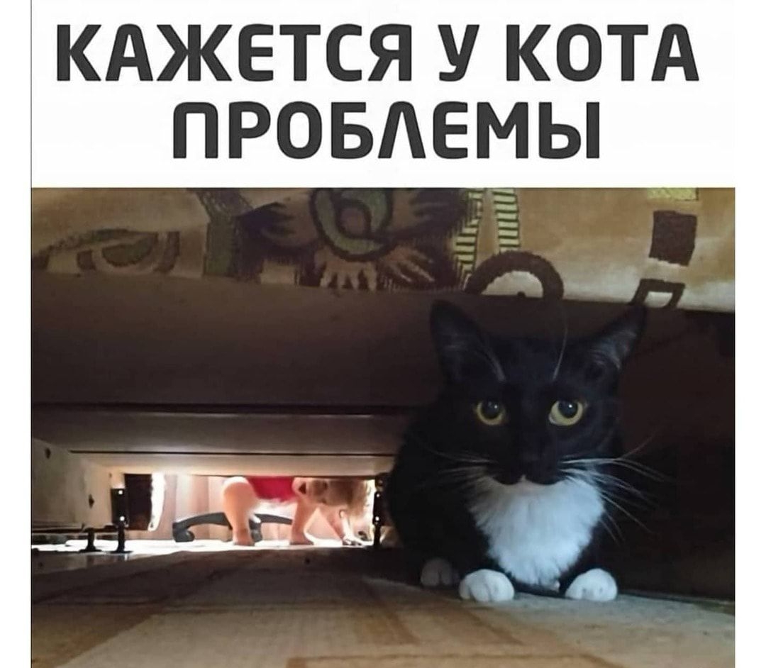 кджется у котд ПРОБАЕМЫ