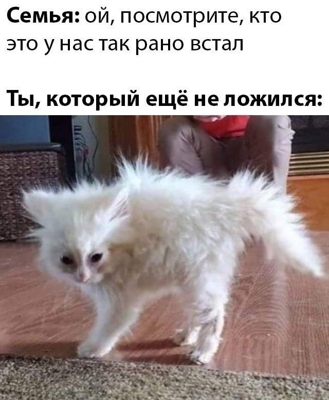 Семья ой посмотрите кто это у нас так рано встал Ты который ещё не ложился