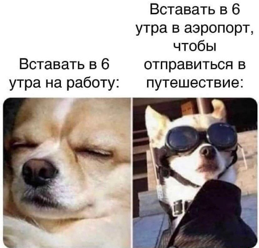 Вставать в 6 утра в аэропорт чтобы Вставать в 6 отправиться в утра на работу путешествие