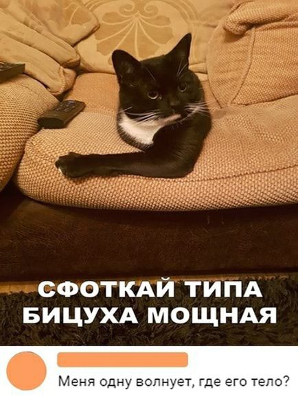 Ё6 СФОТКАЙ ТИПА БИЦУХА МОЩНАЯ _ Меня одну волнует где его тело