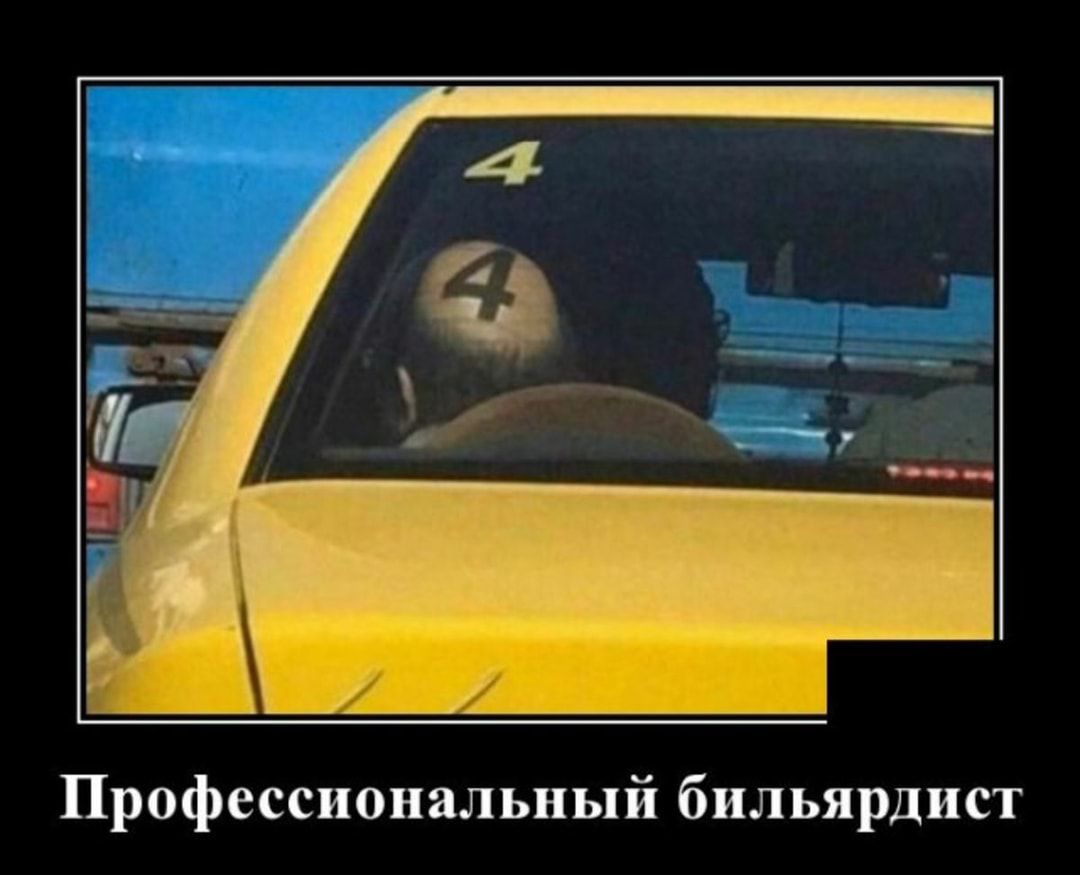 Профессиональный бильярдист
