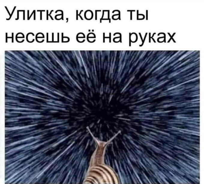 Улитка когда ты несешь её на руках