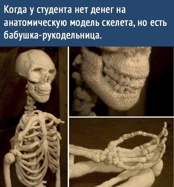 Когда у сгудента нет денег на анатомическую модель скелета но есть бабушка рукодельница