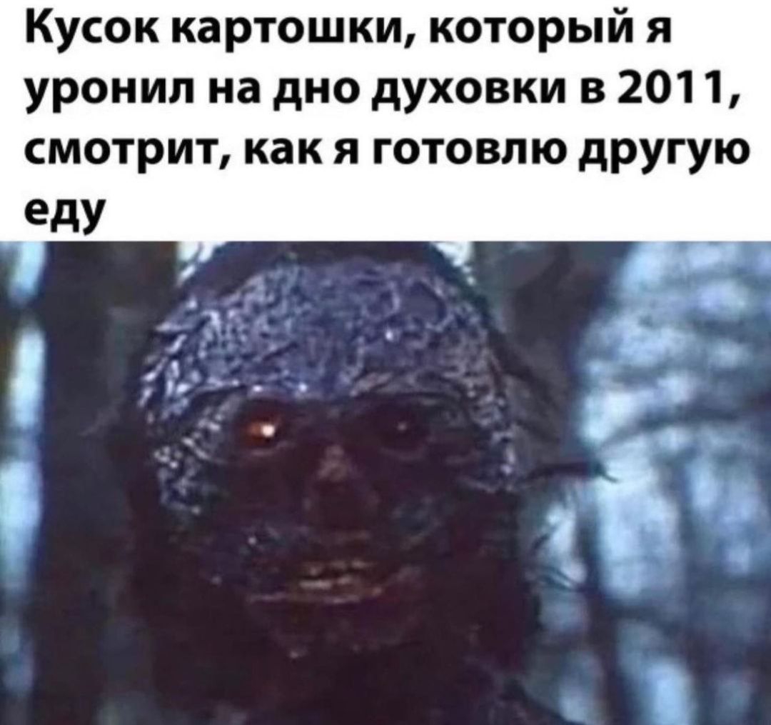 Кусок картошки который я уронил на дно духовки 3 2011 смотрит как я готовлю другую