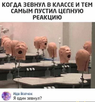 КОГДА ЗЕВНУА В КААССЕ И ТЕМ САМЫМ ПУСТИА ЦЕПНУЮ РЕАКЦИЮ М ч1 Я один зевнуп