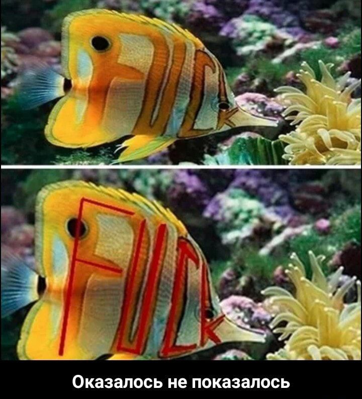 Оказалось не показалось