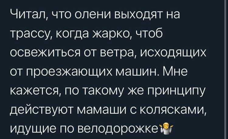 Читал что олени выходят на трассу когда жарко чтоб освежиться от ветра исходящих от проезжающих машин Мне кажется по такому же принципу действуют мамаши с колясками идущие по велодорожкетгг