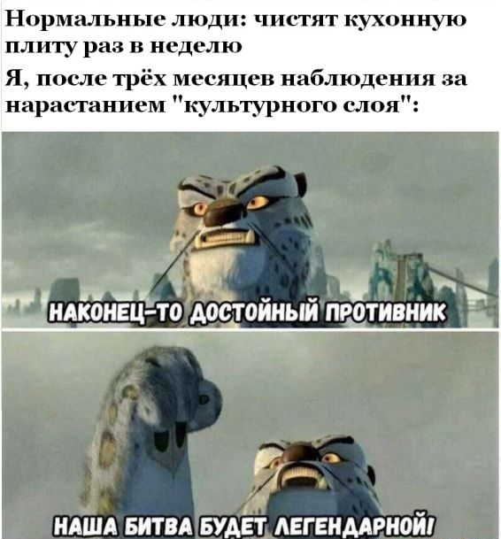 Нормальные люди чистят кухонную плиту раз в неделю Я после трёх месяцев наблюдения за нарастанием культурного слоя ин д цдврнвц то достойный противник Ё НАША БИТВА БУДЕТ АЕГЕНААРНОЙ