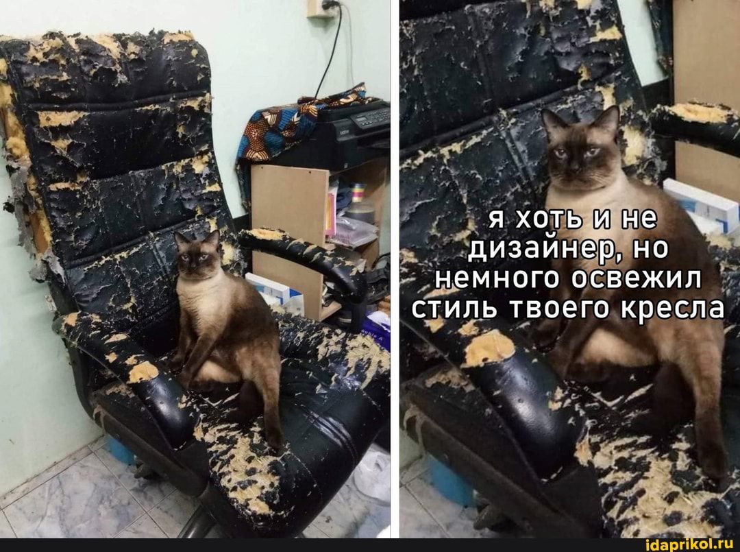 Ё НЭМНОГО ОСВЭЖИЛ _ СЪИЁЬ ТВОЕГО кресла