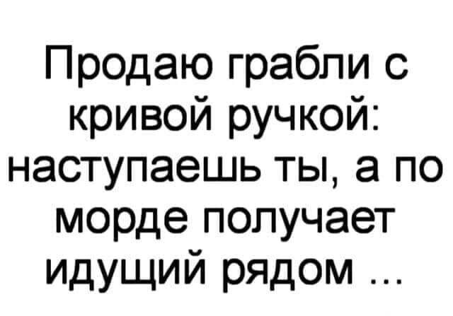 Продаю грабли с кривой ручкой наступаешь ты а по морде получает идущий рядом