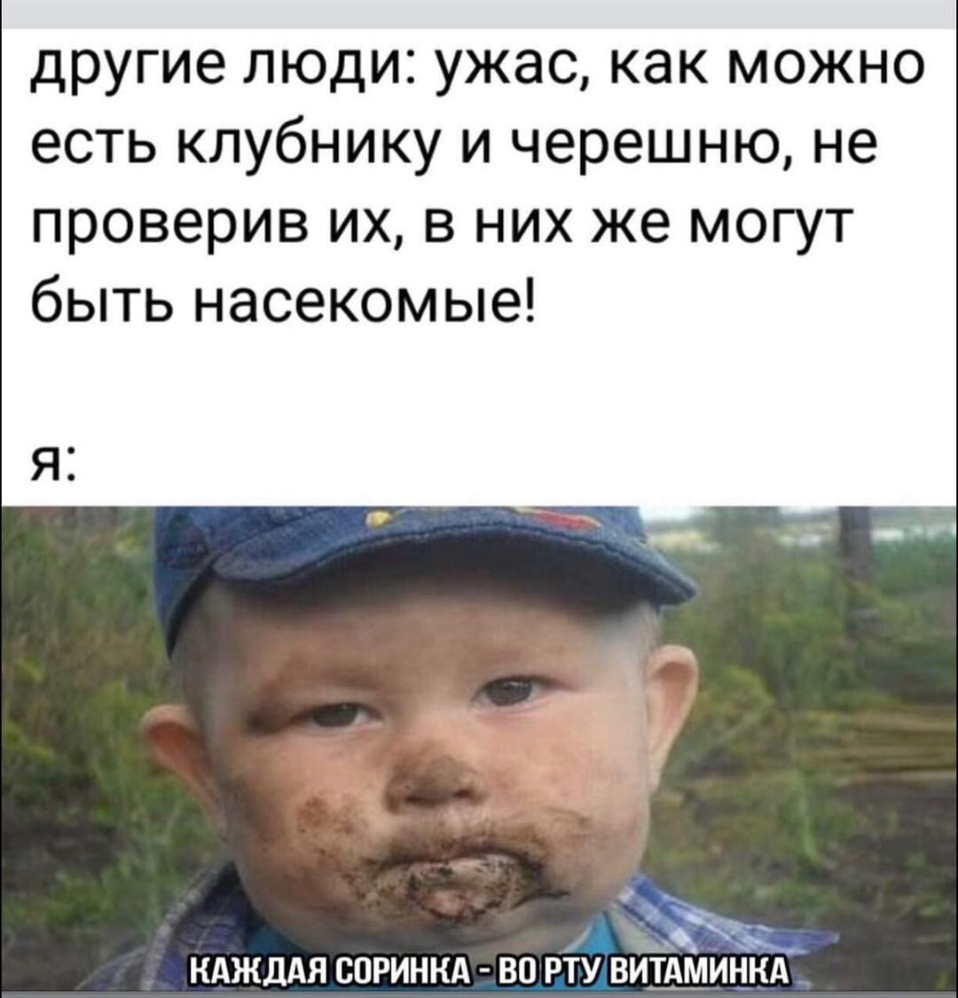 другие люди ужас как можно есть клубнику и черешню не проверив их в них же могут быть насекомые ндждАя соринкд во ніщвйіминм
