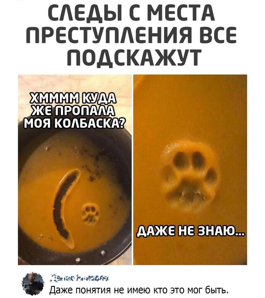 сдеды с мест преступдения все ПОДСКАЖУТ Гат назат Даже понятия не имею кто это мог быть