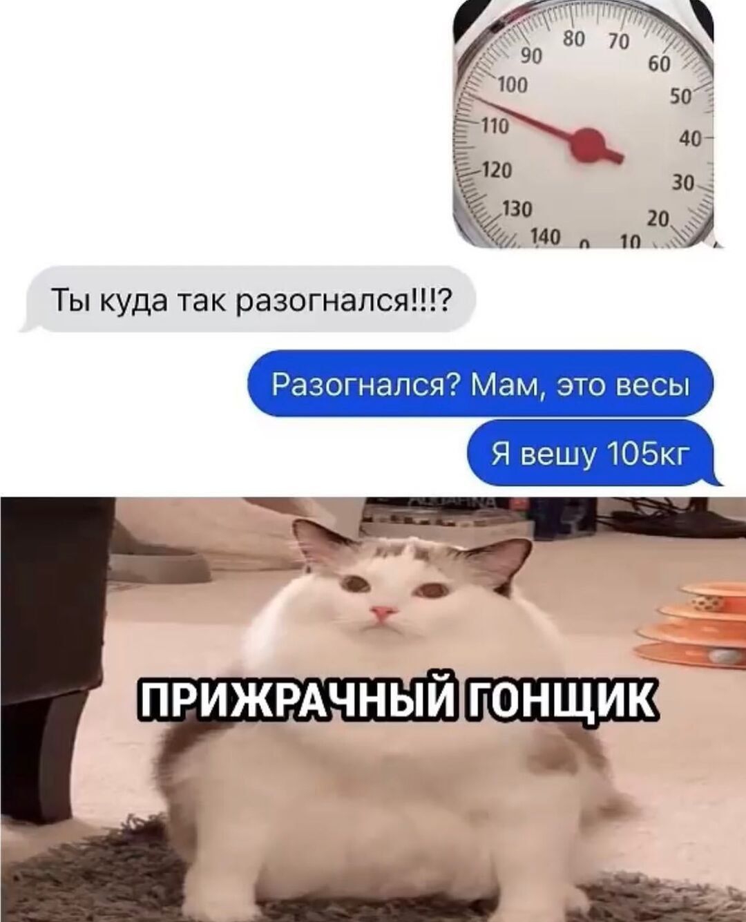 Ты куда так разогнался Разогнался Мам это весы ЯвешуЮбкг _д _ 22