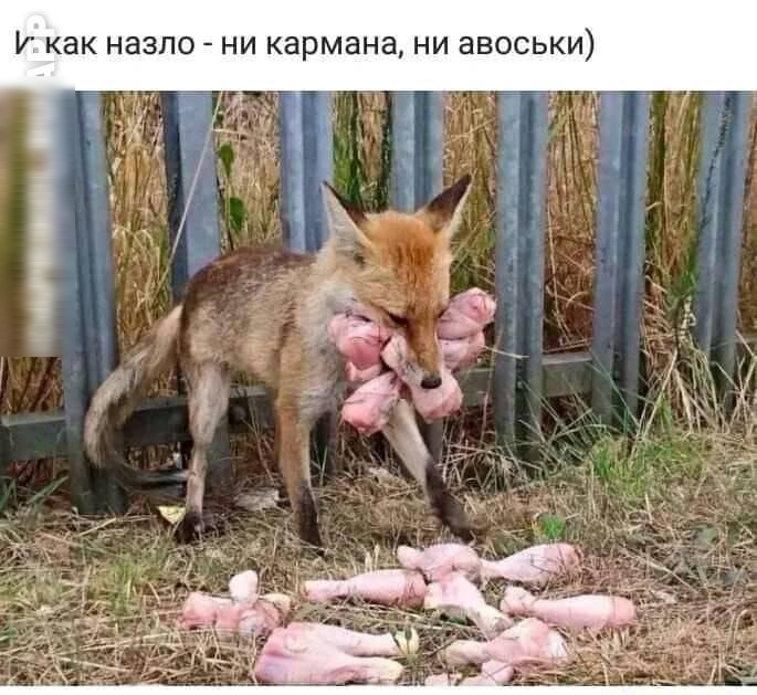 И как назло НИ кармана НИ ЭВОСЬКИ