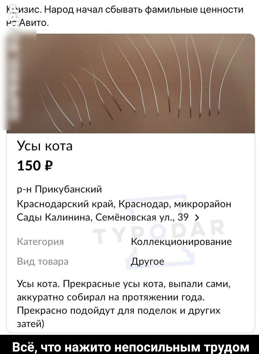 Кризис Народ начал сбывать фамильные ценности н Авито Усы кота 150 р н Прикубанский Краснодарский край Краснодар микрорайон Сады Калинина Семёновская ул 39 Категория Коллекционирование Вид товара Другое Усы кота Прекрасные усы кота выпали сами аккуратно собирал на протяжении года Прекрасно подойдут для поделок и других затей Всё что нажито непосильным т дом