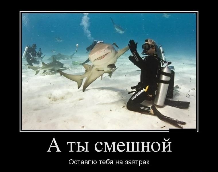 А ТЫ смешной Оставпю тебя на завтрак