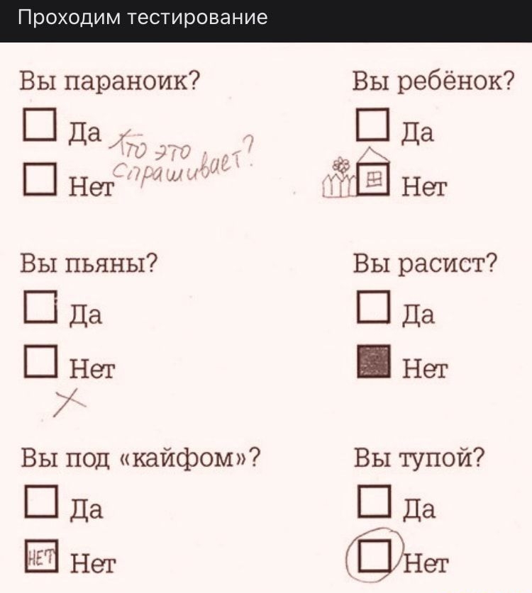 Проходим ТЕСТИРОВЭНИЭ Вы параноик Вы ребёнок Да _ Ш Да ы в Нет Нет Вы пьяны Вы расист Ш Да Да Нет Нет 7 Вы под кайфом Вы тупой ___Да _Да Нет Нет