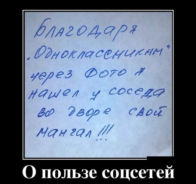 О пользе соцсетей