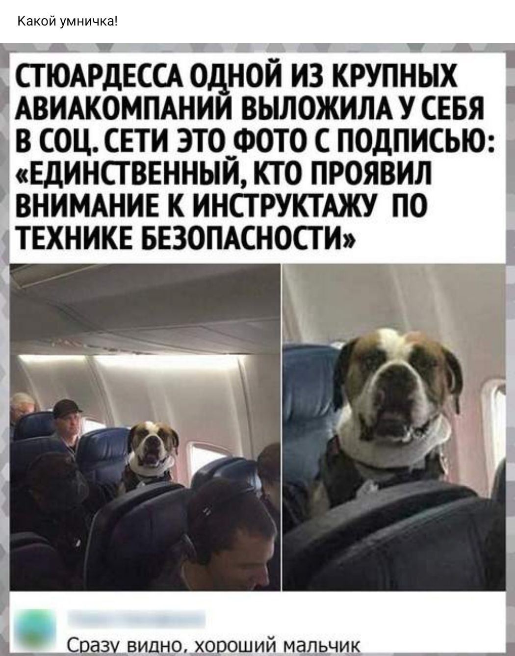 СТ ЮАРДЕССА ОДНОЙ ИЗ КРУПНЫХ АВИАКОМПАНИИ ВЫЛОЖИЛА У СЕБЯ В СОЦ СЕТИ ЭТО _ФОТО С ПОДПИСЬЮ ЕДИНСТВЕННЫЙ КТО ПРОЯВИЛ ВНИМАНИЕ К ИНСТРУКТАЖУ ПО 1ТЕХНИКЕ БЕЗОПАСНОСТИ _ Соёквиднахороший мальчик