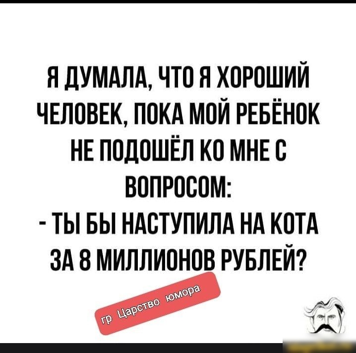 Я ДУМАЛА ЧТО Я ХОРОШИЙ ЧЕЛОВЕК ПОКА МОЙ РЕБЁНОК НЕ ПОДОШЁЛ КО МНЕ О ВОПРОООМ ТЫ БЫ НАОТУПИЛА НА КОТА ЗА 8 МИЛЛИОНОВ РУБЛЕЙ 3 е901 юм ц _