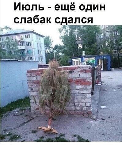 Июль ещё один слабак сдался