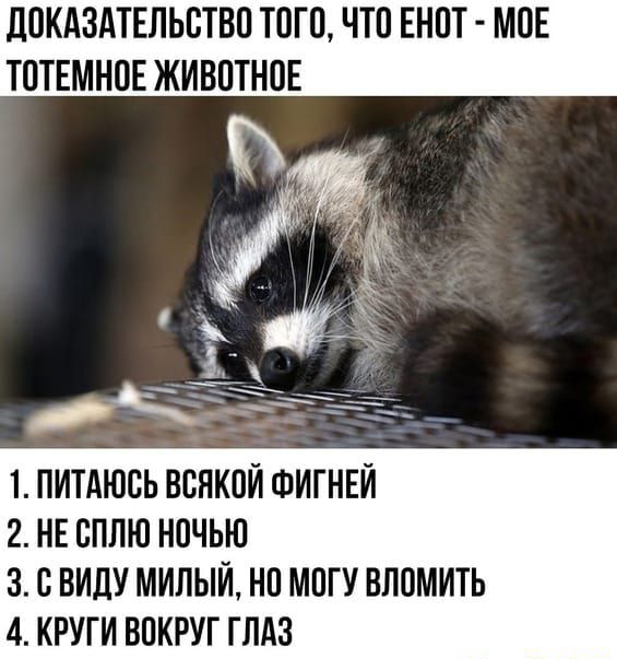 ПОКАЗАТЕЛЬСТВП ТПП ЧТО ЕНПТ МПЕ ТПТЕМНВЕ ЖИВОТНОЕ 1 ПИТАЮСЬ ВВНКОЙ ФИГНЕЙ 2 НЕ СППЮ ночью 3 С ВИПУ МИЛЫЙ НП МПГУ ВПОМИТЬ 4 КРУГИ ВПКРУГ ГЛАЗ