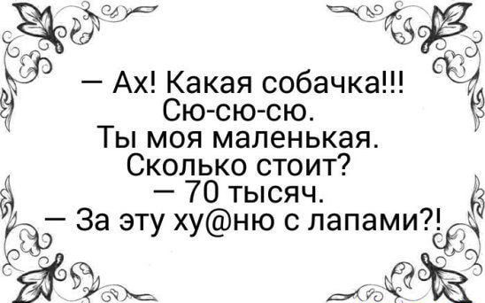 Эдда ЧЫЁЗС8 г Ах Какая собачка Сю сю сю Ты моя маленькая Сколько стоит 233 70 тысяч 5 За эту хуню с лапамтсё 3 БЭЫЪС Ы7а ёё
