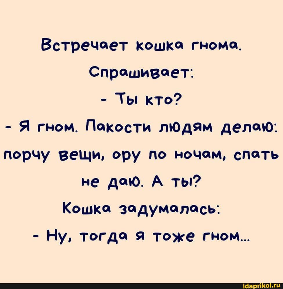 Встречает кошка гномц Спрашивает Ты КТО Я гном Пакости лЮдям делаю порчу вещи ору по ночам спать не даю А ты Кошке задумалась Ну тогда я тоже гном