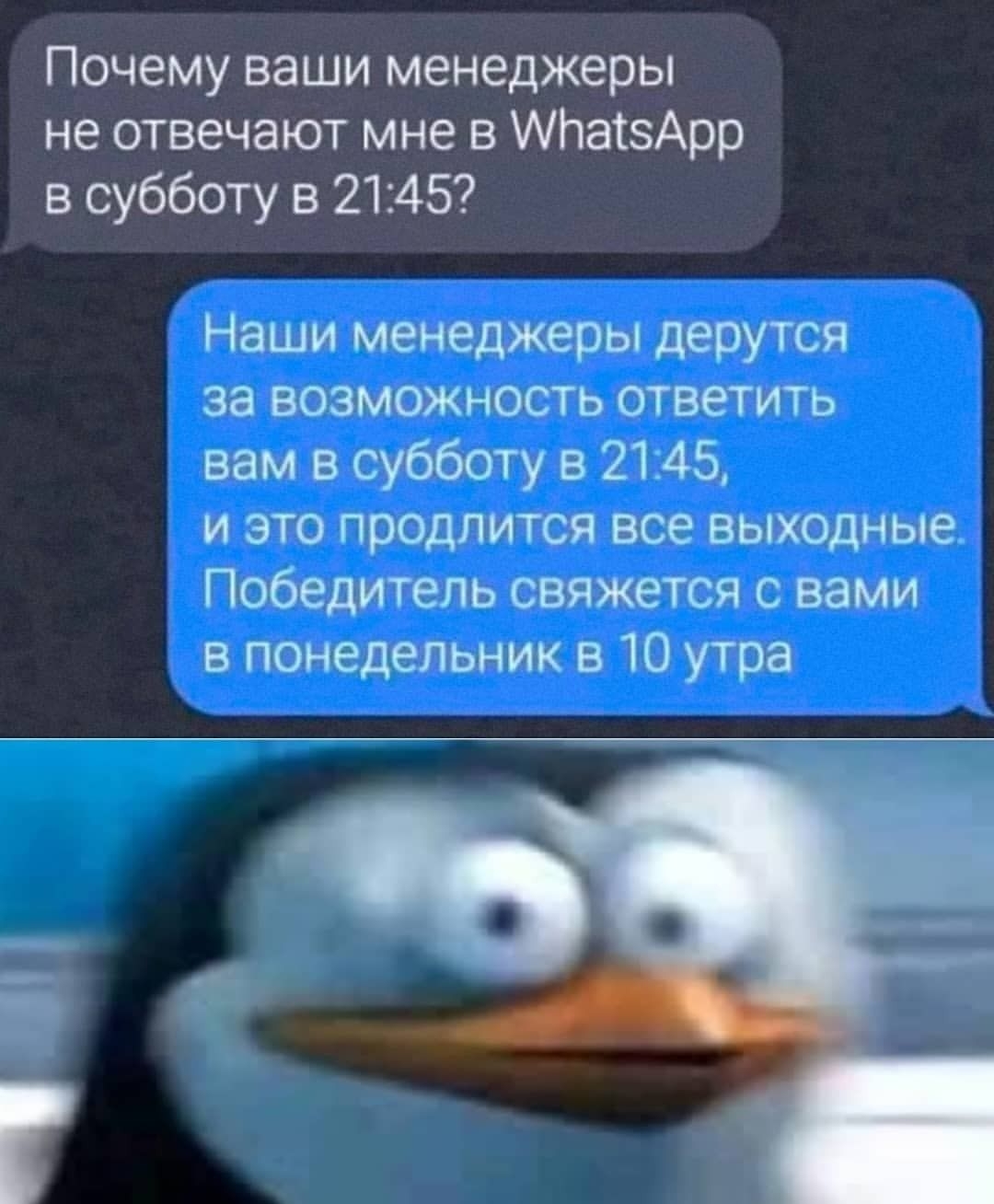 Почему ваши менеджеры не отвечают мне в АлатзАрр в субботу в 2145 Наши менеджеры дерутся за возможность ответить вам в субботу в 2145 и это продлится все выходные Победитель свяжется с вами в понедельник в 10 утра