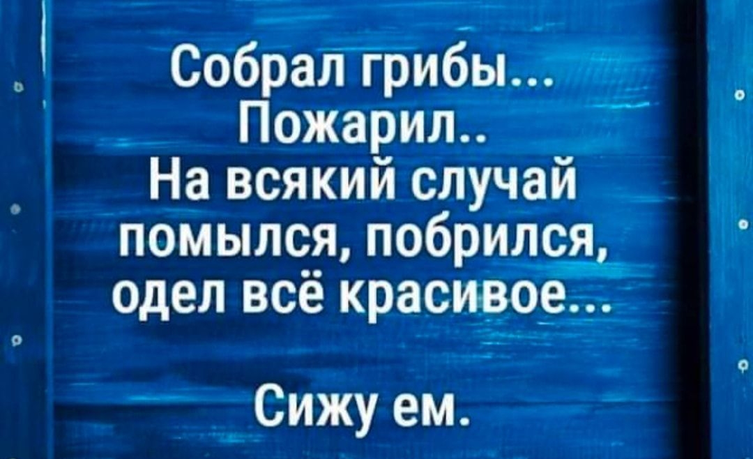 Собралгрибы Пожарил На всякий случай помылся побрился одел всё красивр_е Сижу ем