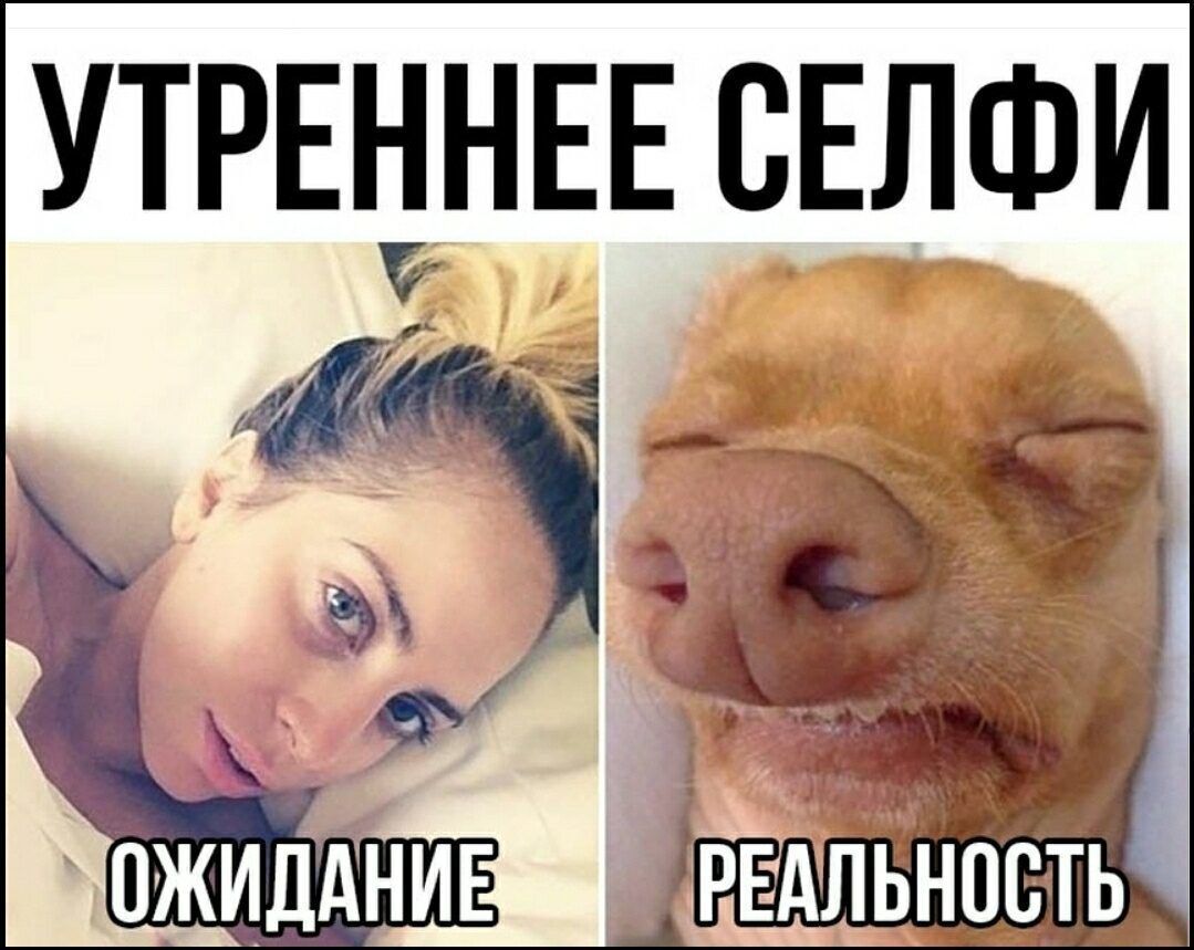 УТРЕ__НЕЕ СЕЛФИ д _ __ _ ч Ъ Ё _ 7 3 _1__ д Ё _ У