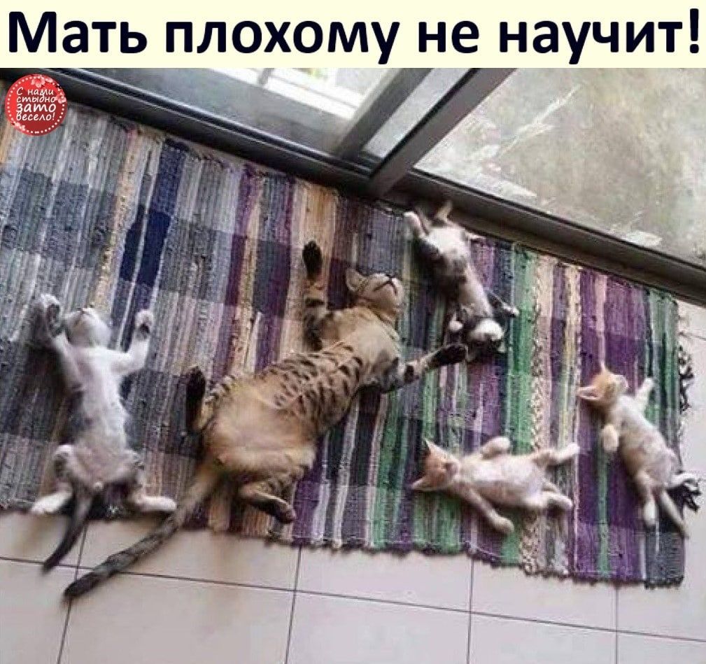 Мать плохому не научит