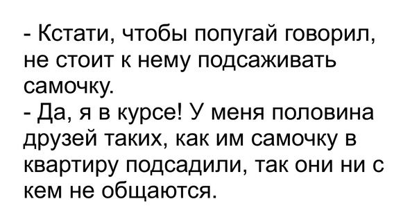 Кстати чтобы попугай говорил не стоит к нему подсаживать самочку Да я в курсе У меня половина друзей таких как им самочку в квартиру подсадили так они ни с кем не общаются