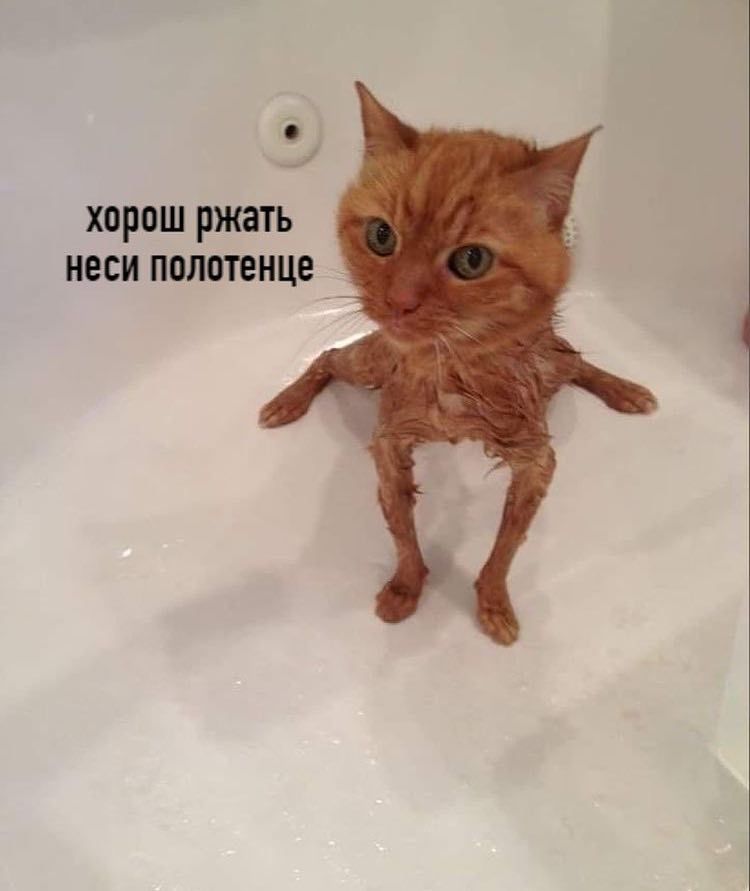 _ хорош ржать неси полотенце